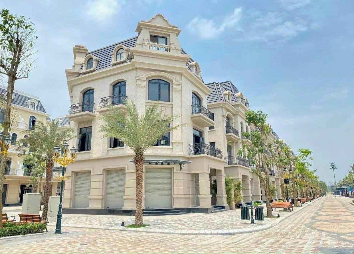 Phân khu Đảo Ngọc Vinhomes Ocean Park 3 - Mặt bằng và Giá bán 32 Biệt thự song lập phân khu Đảo Ngọc Vinhomes Ocean Park 3
