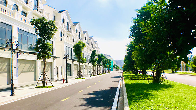 Shophouse phân khu Ngọc Trai Vinhomes Ocean Park